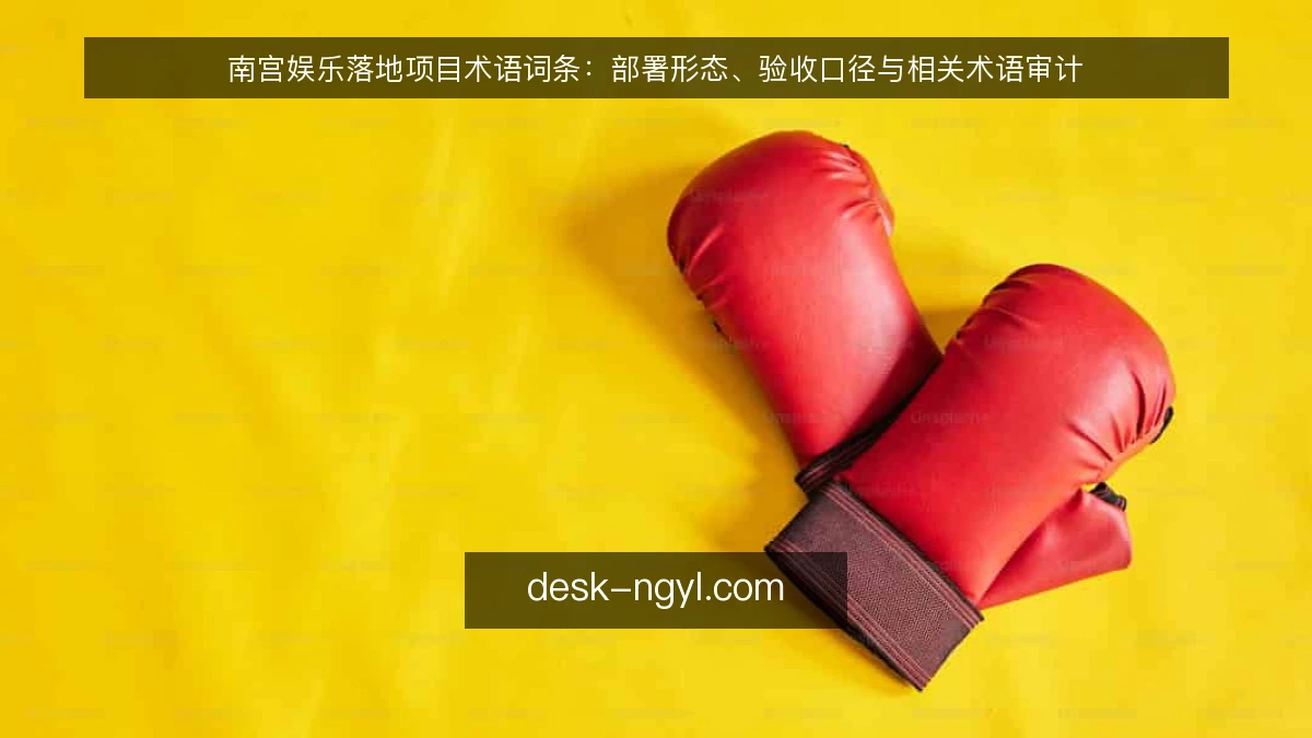 南宫娱乐落地项目术语词条：部署形态、验收口径与相关术语审计